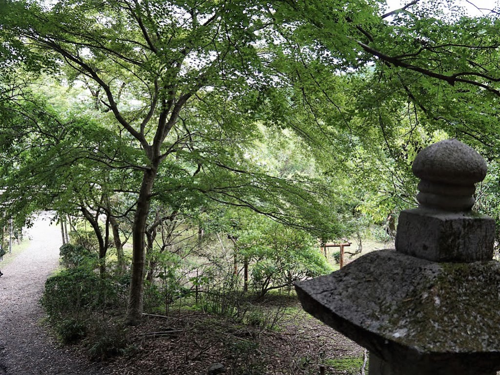 埼玉県飯能市　竹寺
