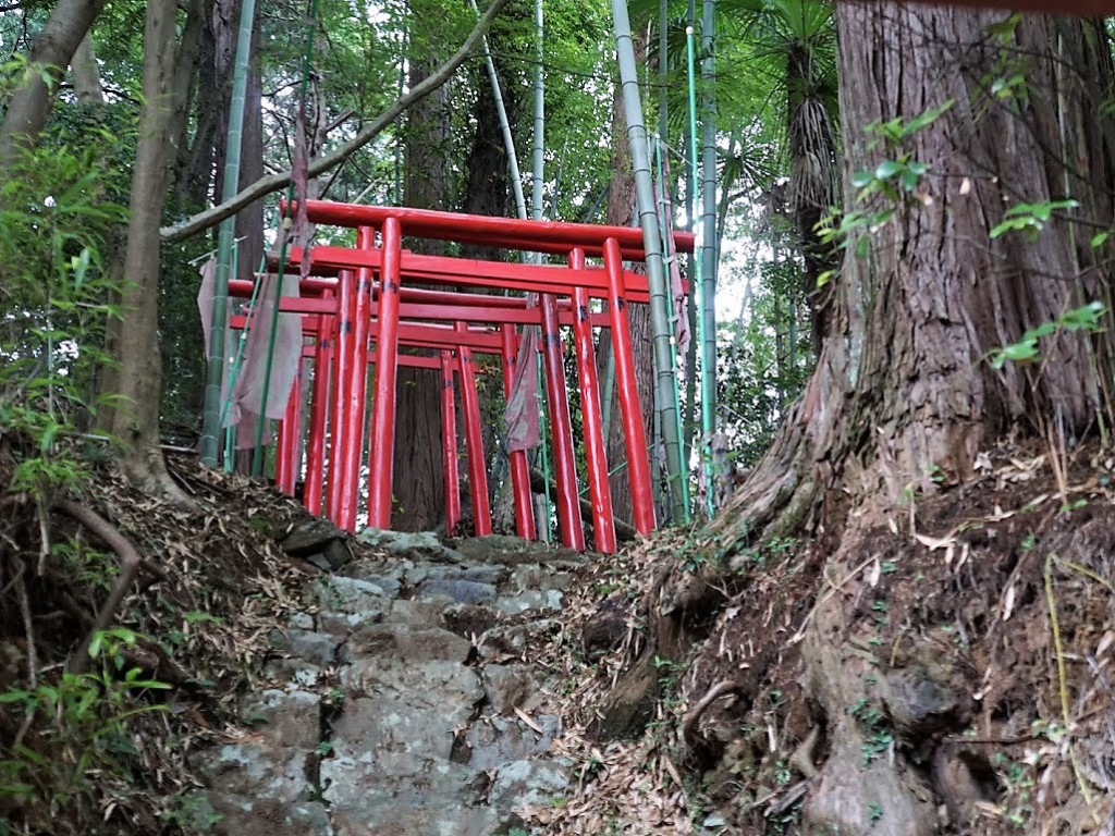 埼玉県飯能市　竹寺