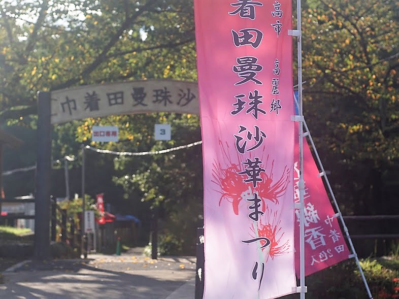 巾着田　曼珠沙華まつり