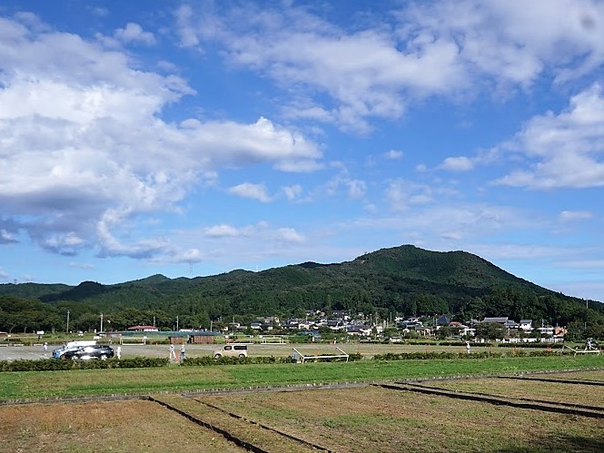 巾着田