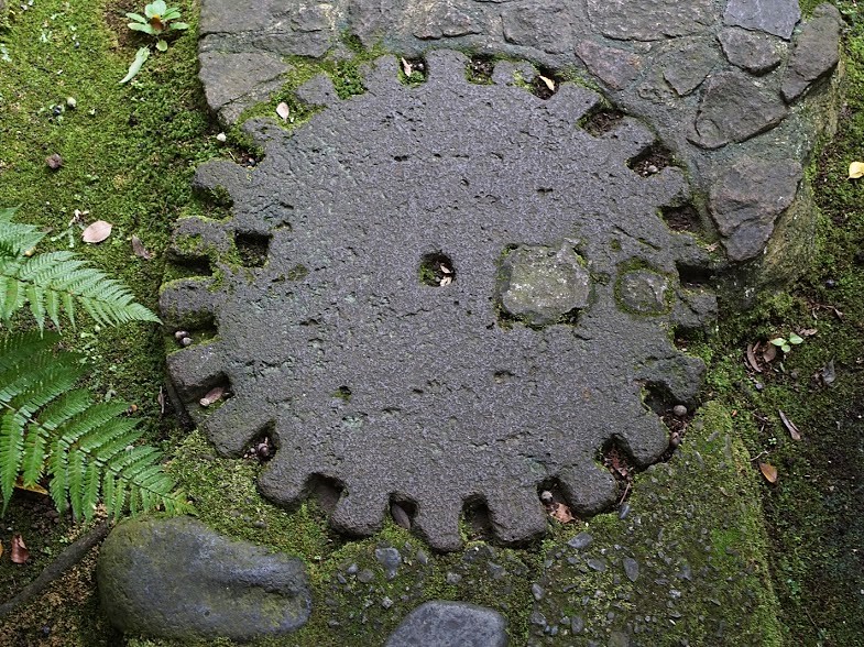 根津美術館　庭　表参道