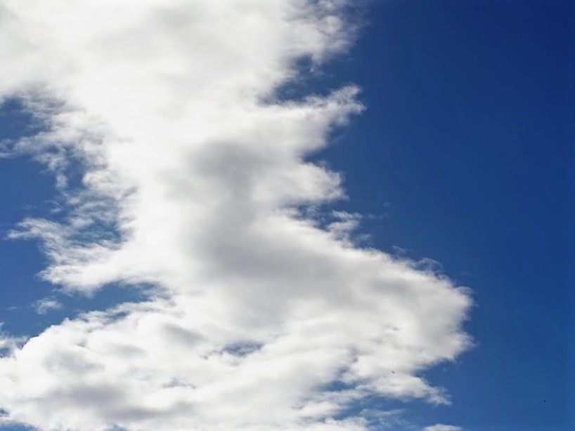 麒麟の形をした雲