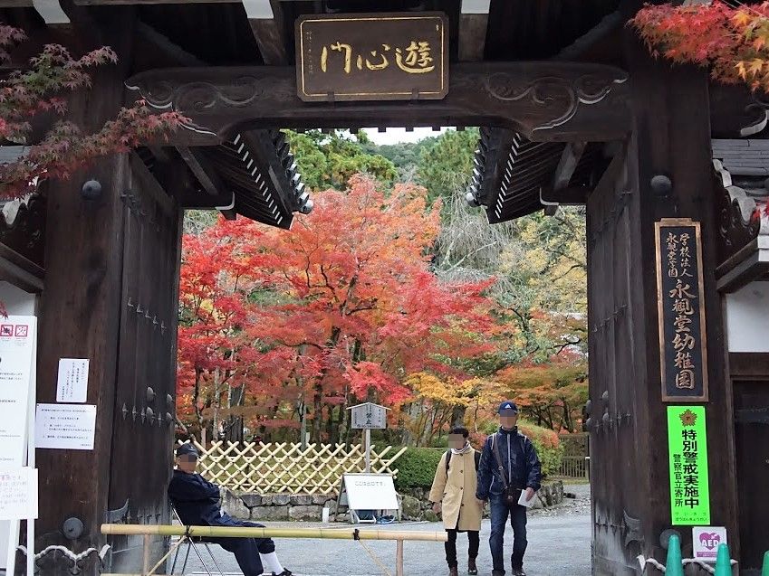 京都　禅林寺　永観堂　紅葉