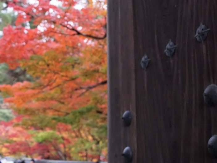 京都　禅林寺　永観堂　紅葉