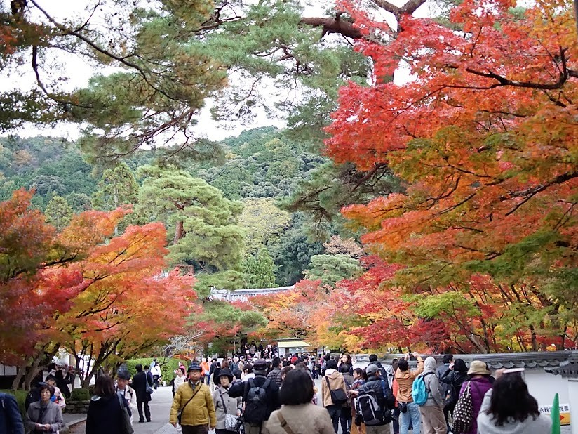 京都　禅林寺　永観堂　紅葉