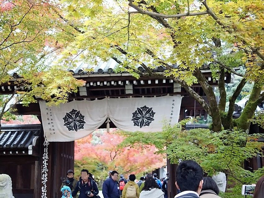 京都　禅林寺　永観堂　紅葉