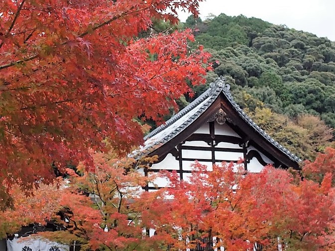 京都　禅林寺　永観堂　紅葉