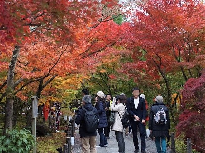 京都　禅林寺　永観堂　紅葉