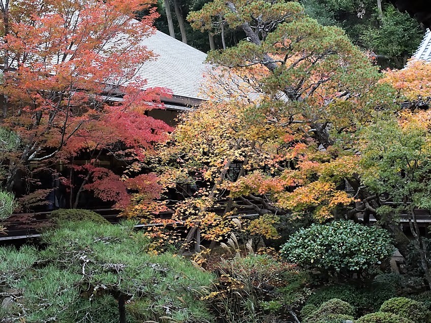 京都　禅林寺　永観堂　紅葉