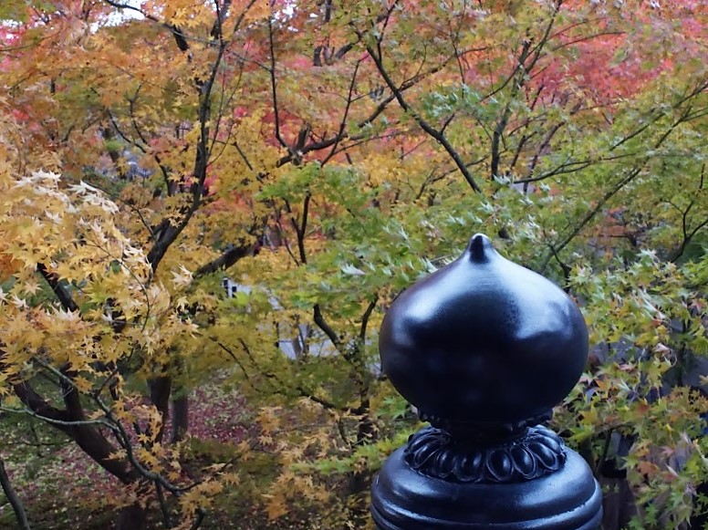 京都　禅林寺　永観堂　紅葉