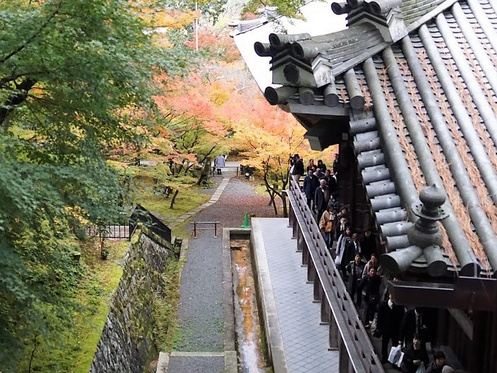 京都　禅林寺　永観堂　紅葉