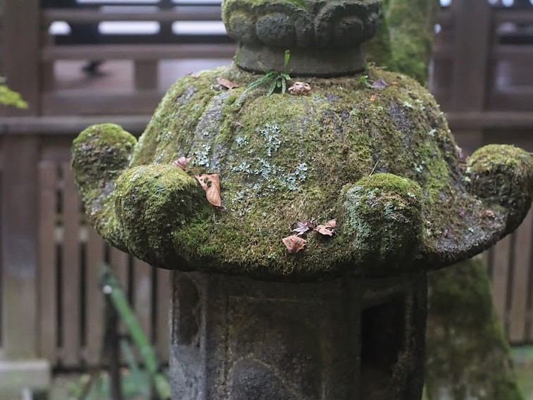 京都　禅林寺　永観堂　紅葉