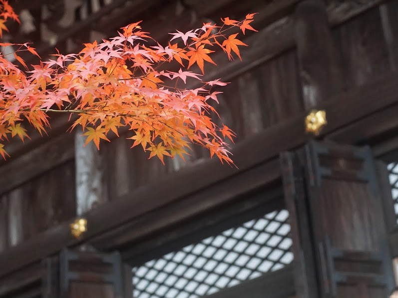京都　禅林寺　永観堂　紅葉