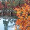 京都　禅林寺　永観堂　紅葉