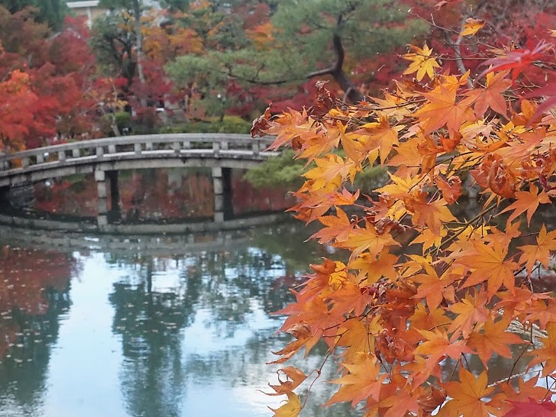 京都　禅林寺　永観堂　紅葉