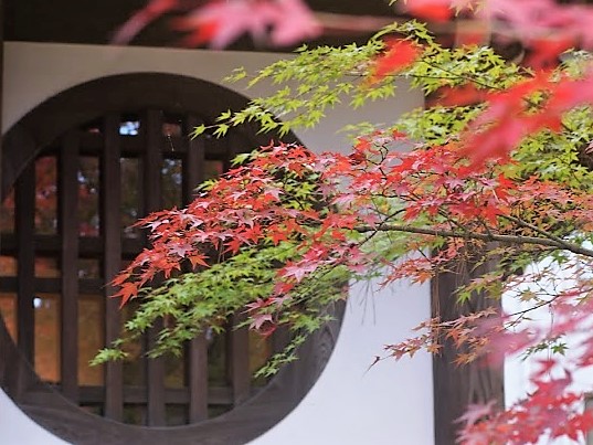 京都　禅林寺　永観堂　紅葉