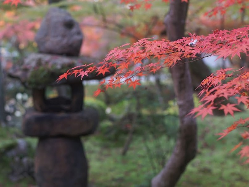 京都　禅林寺　永観堂　紅葉