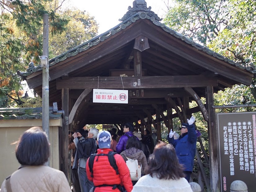 京都　東福寺　紅葉