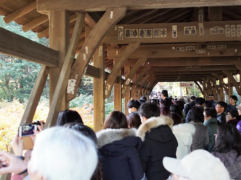 京都　東福寺　紅葉