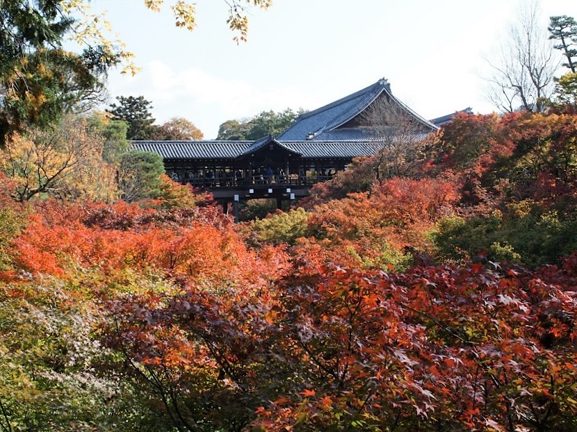京都　東福寺　紅葉