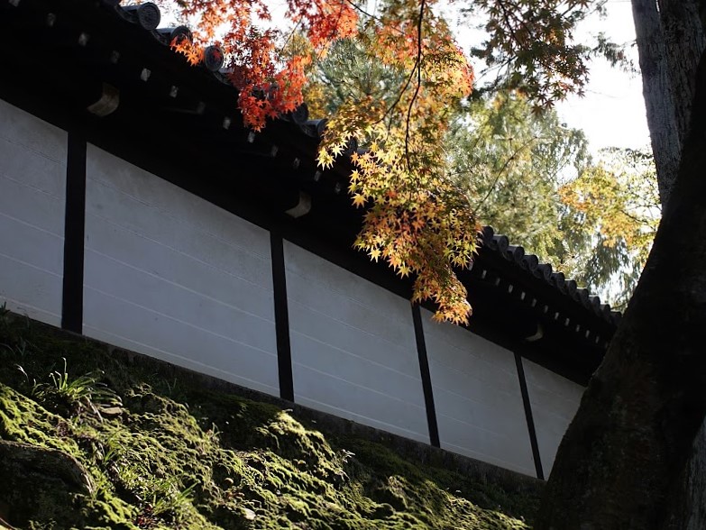 京都　東福寺　紅葉