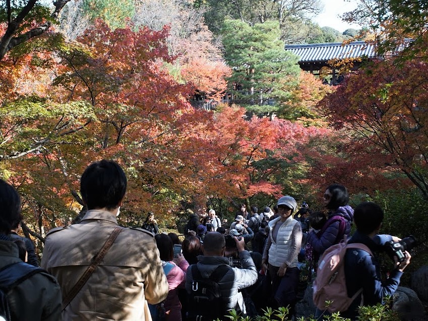 京都　東福寺　紅葉