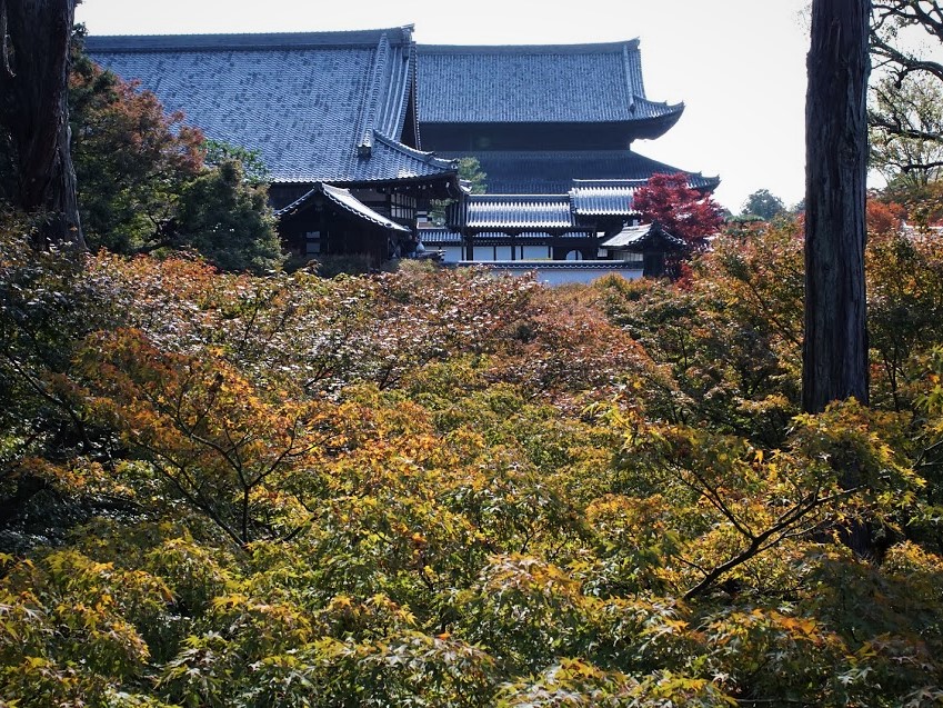 京都　東福寺