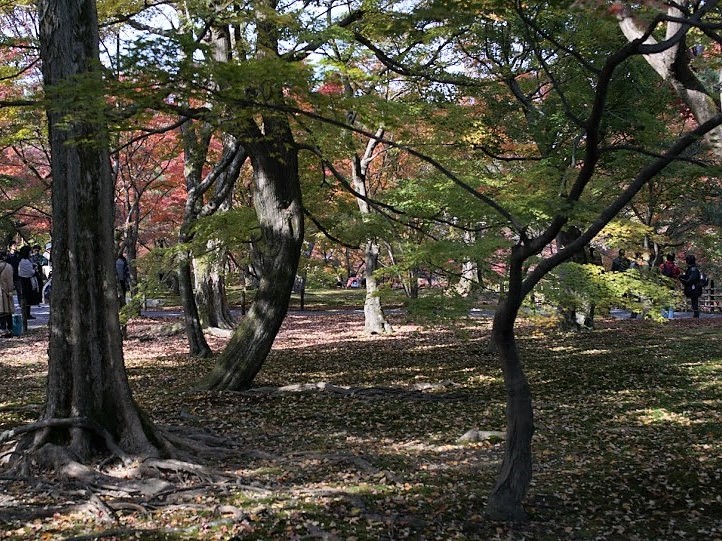 京都　東福寺　庭