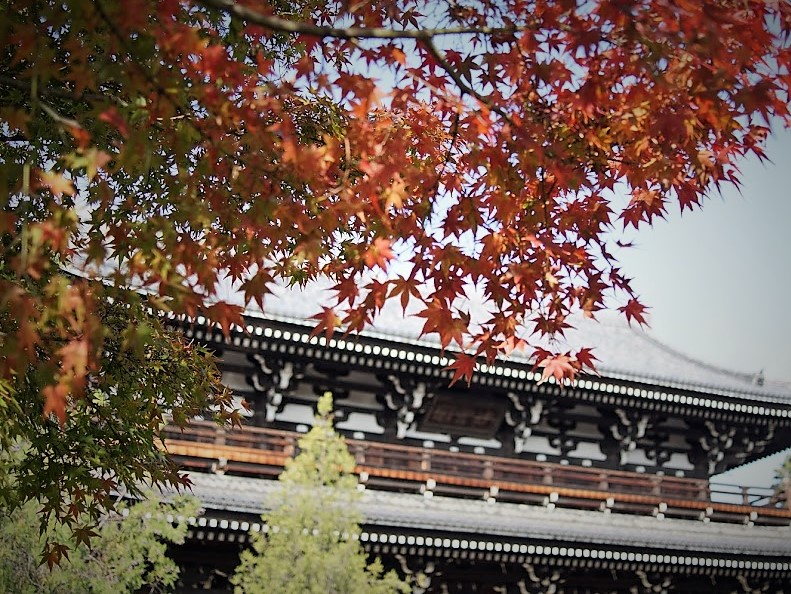 京都　東福寺　山門　紅葉