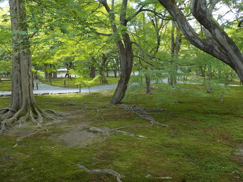 京都　東福寺　庭