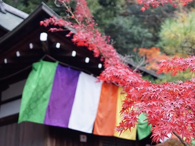 京都　禅林寺　永観堂　紅葉