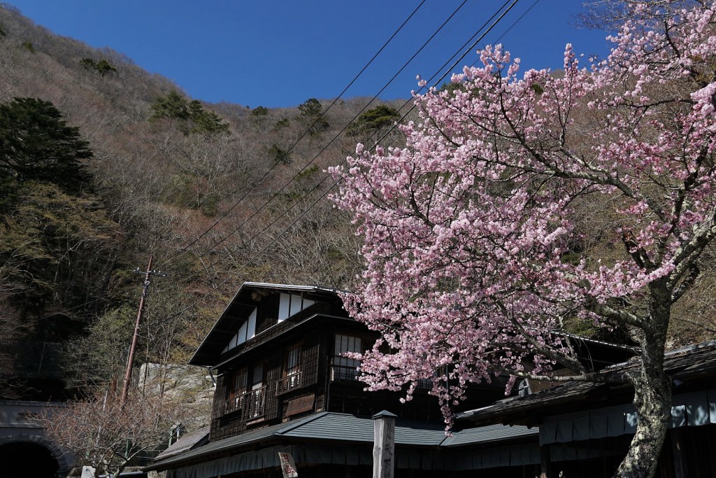 御坂峠 天下茶屋
