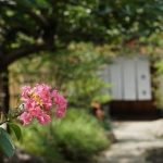 古民家カフェ　枇杏　びあんA