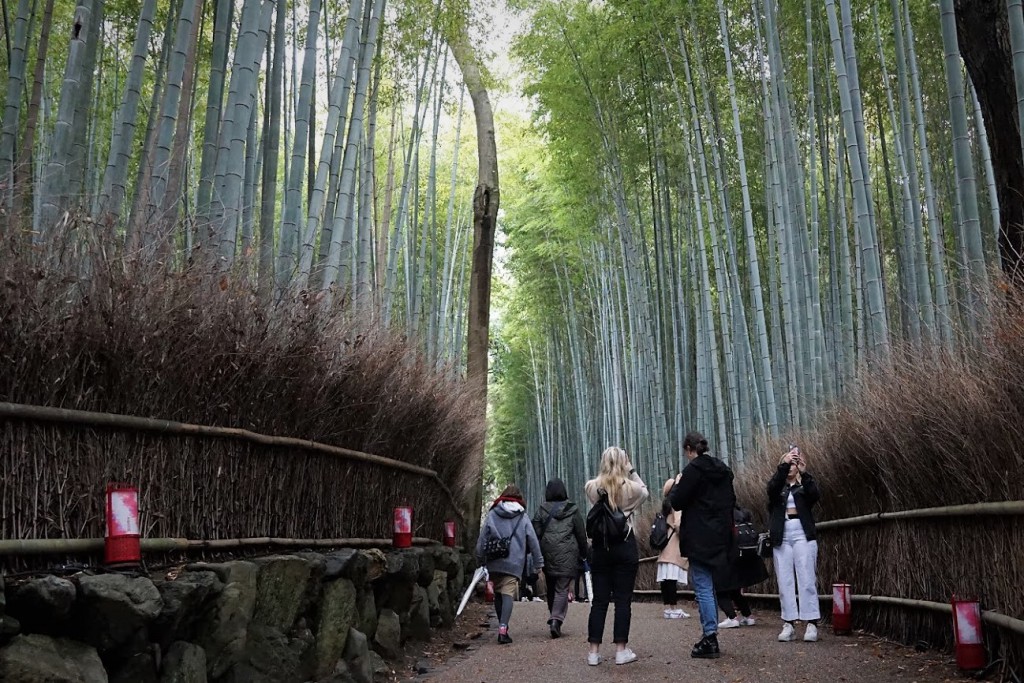 京都嵐山 竹の小径