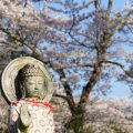 お地蔵さんと桜