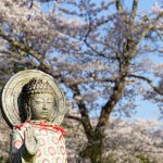 お地蔵さんと桜