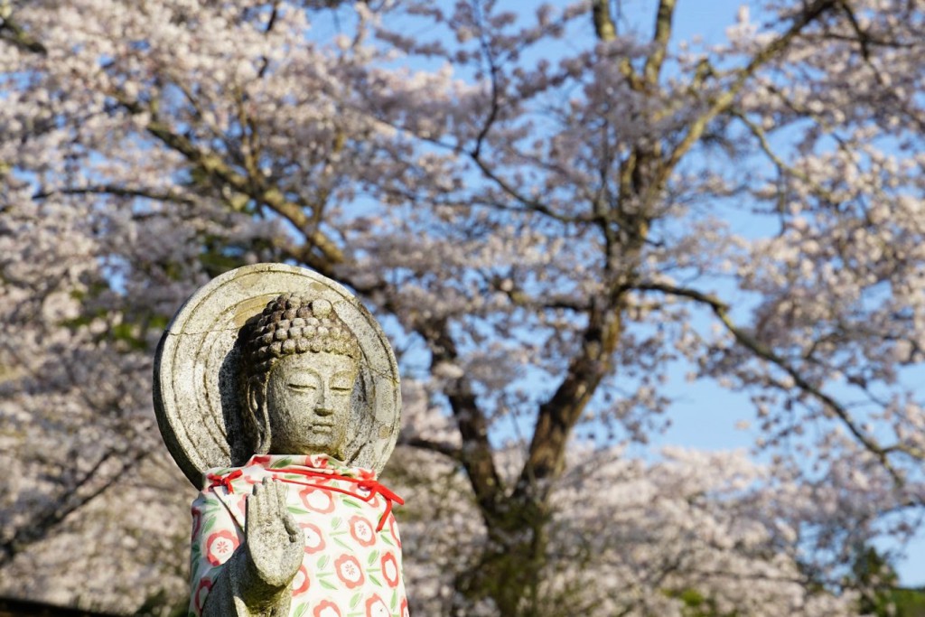 お地蔵さんと桜