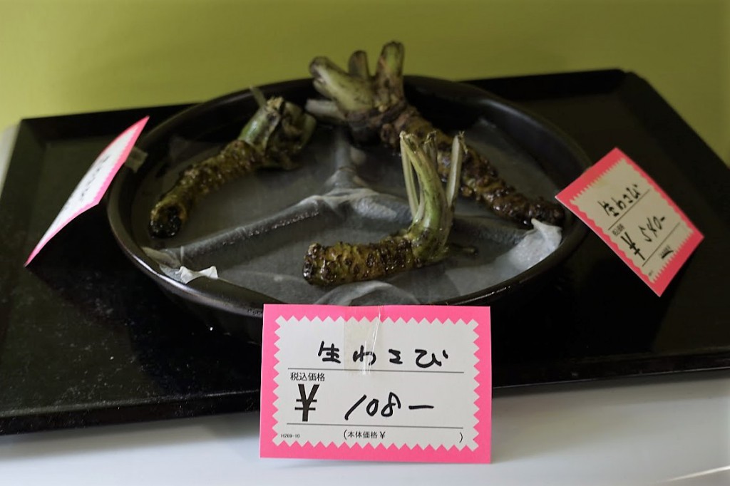 わさび 隼 はやぶさ