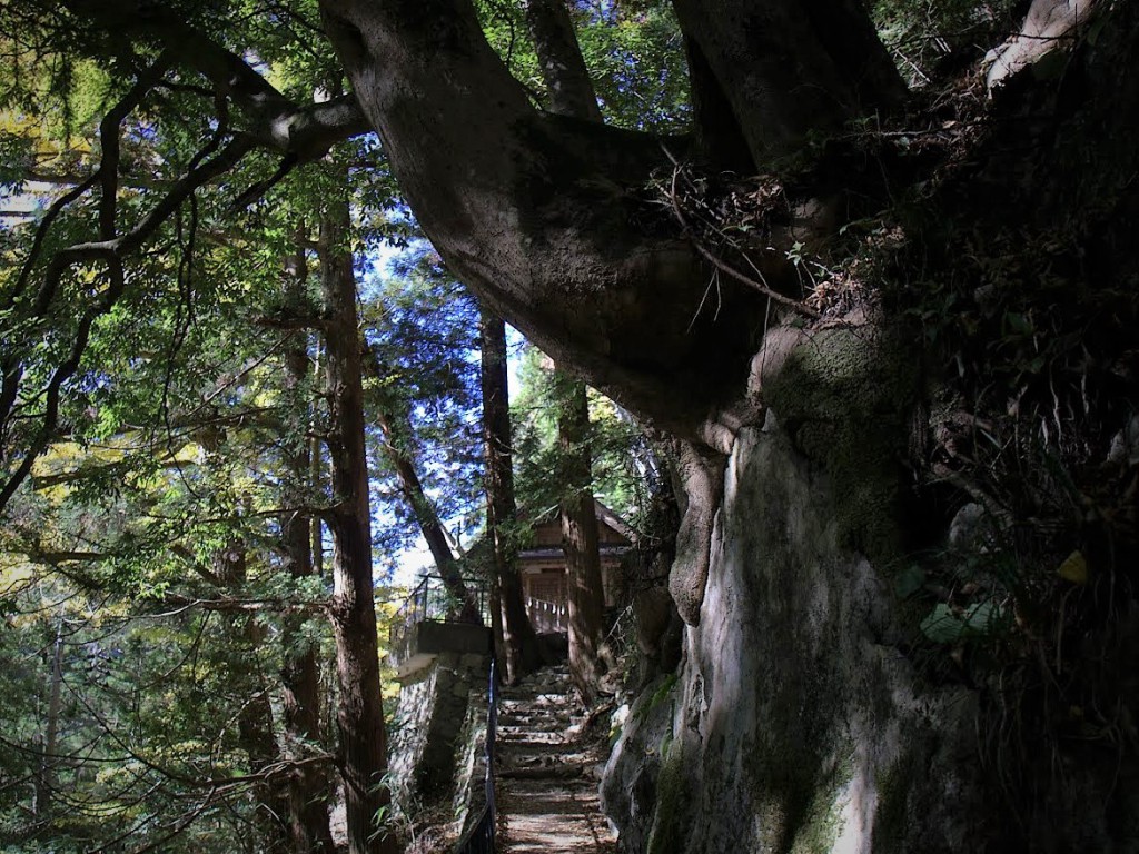奥多摩 白髭神社 参道