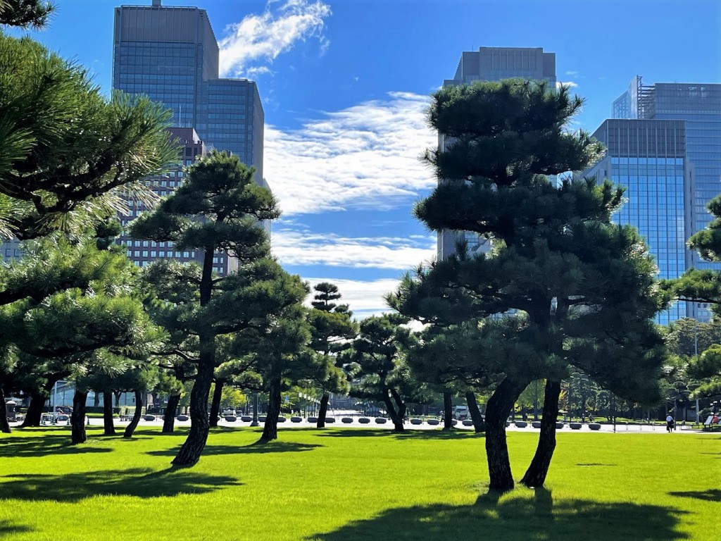 皇居前 松 空