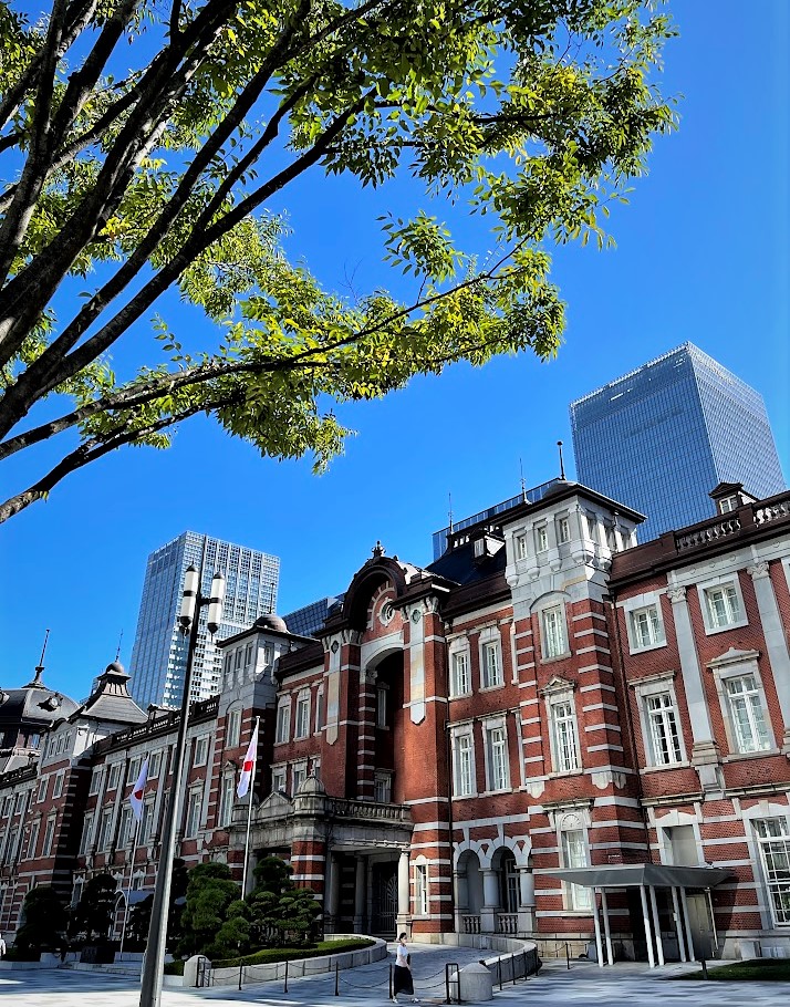 東京駅の前の欅