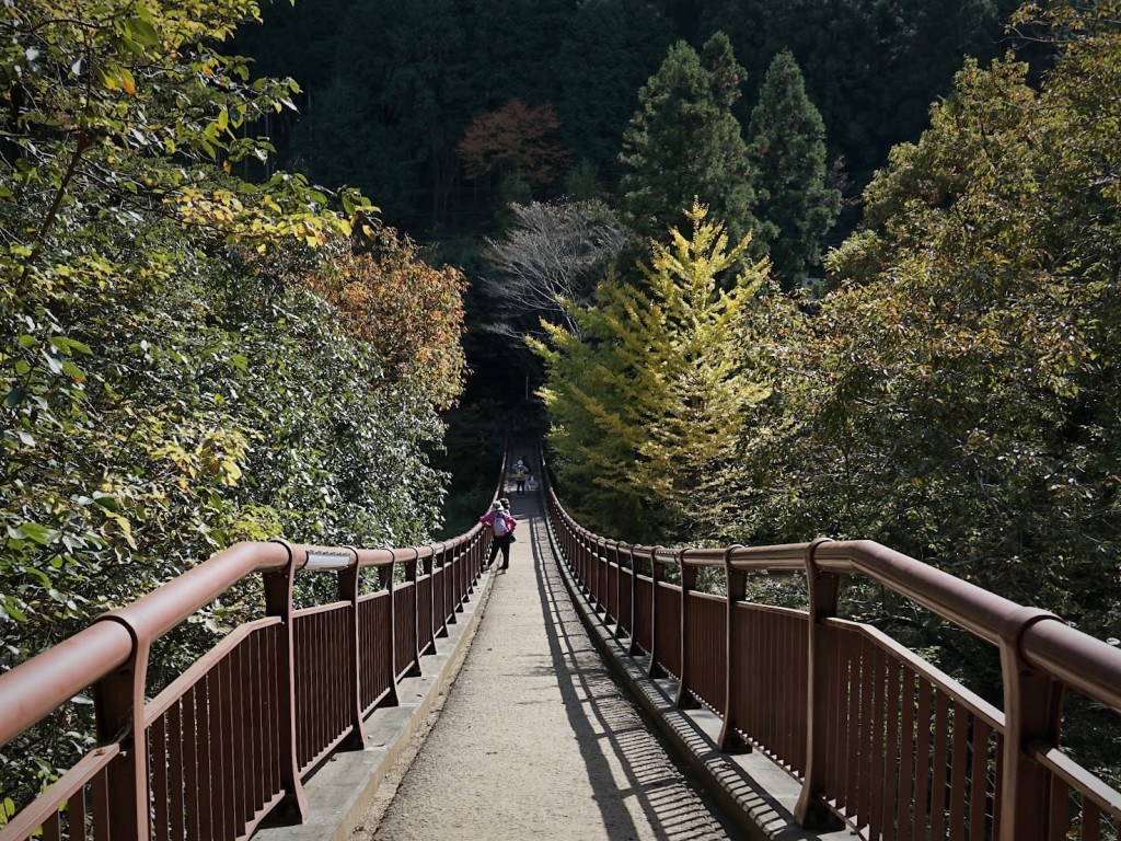 あきる野　瀬音の湯　2021年11月　橋　紅葉