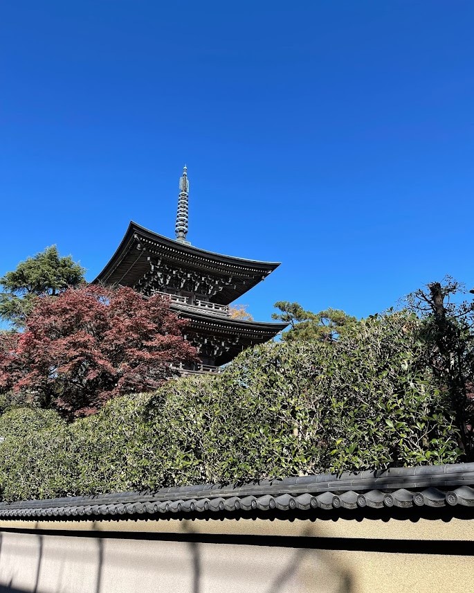 石神井　道場寺　秋の三重塔　