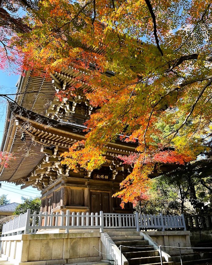 道場寺三重塔と紅葉