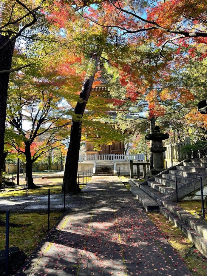 石神井　道場寺三重塔紅葉