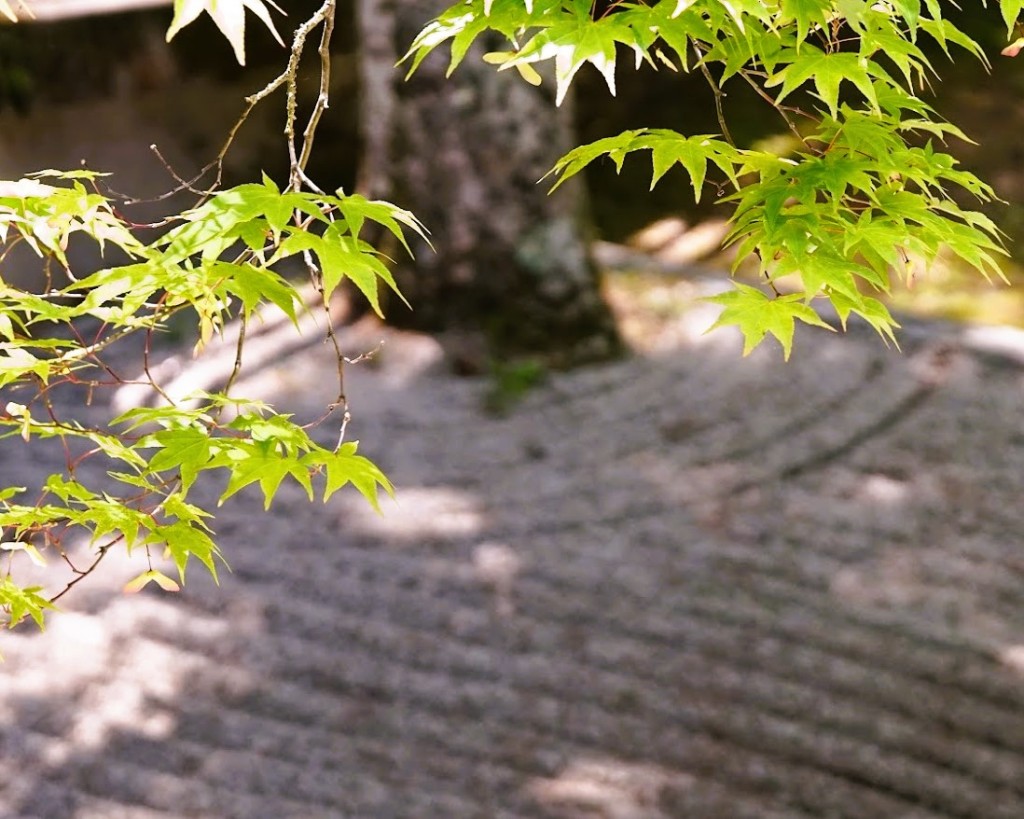 高野山金剛峯寺　蟠龍庭