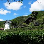古民家ひらぬま　夏の様子
