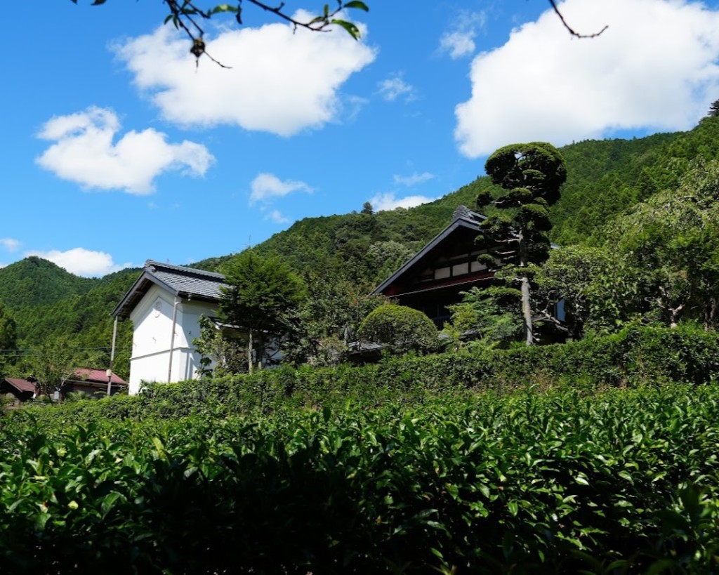 古民家ひらぬま 夏の様子