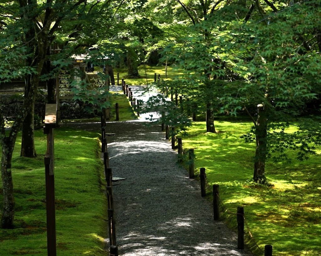 京都大原三千院有清園苔の園路