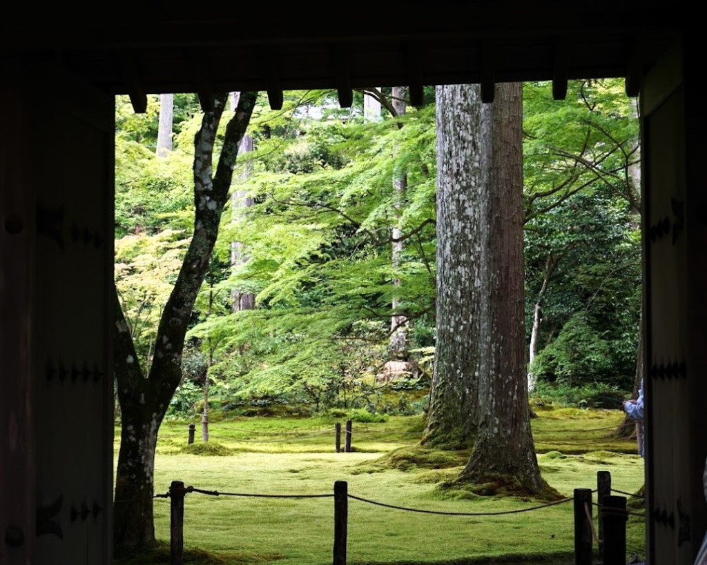 京都大原三千院西方門から見る苔と杉木立